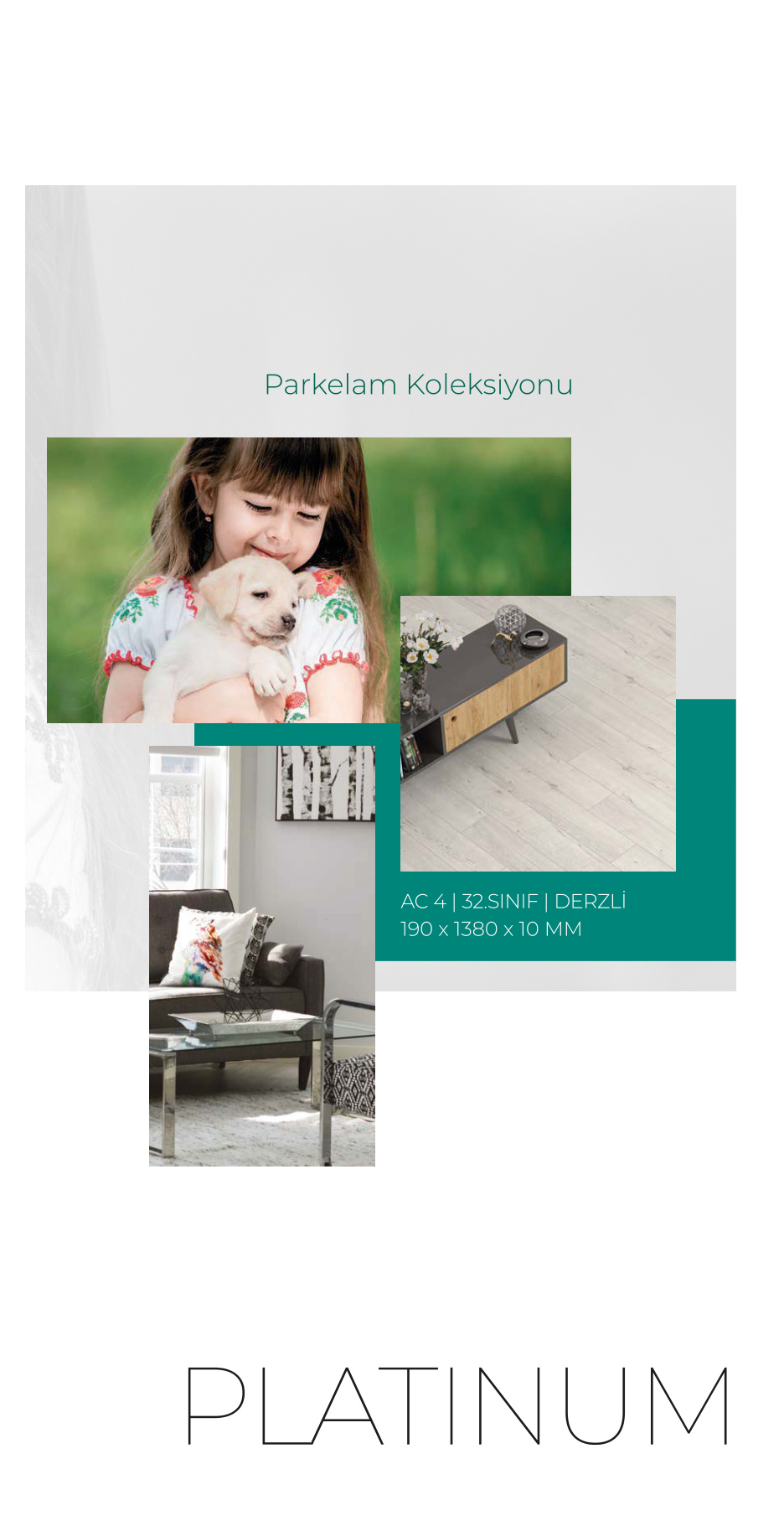 Çamsan Platinum katalog sayfa 3