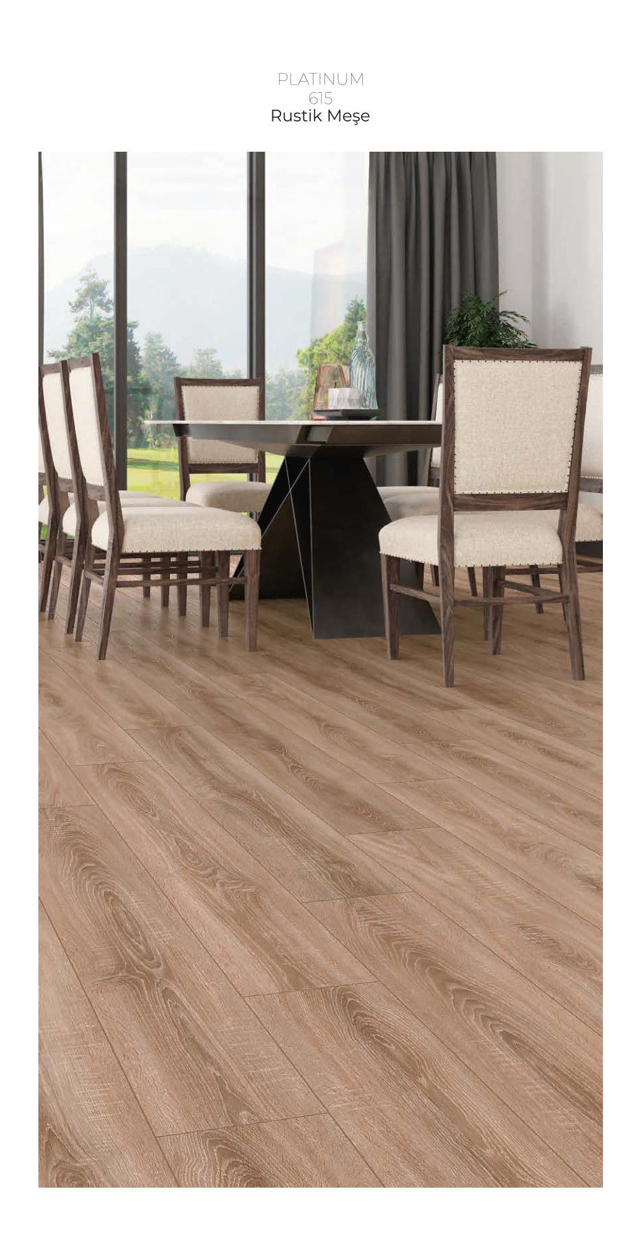 Çamsan Platinum katalog sayfa 4