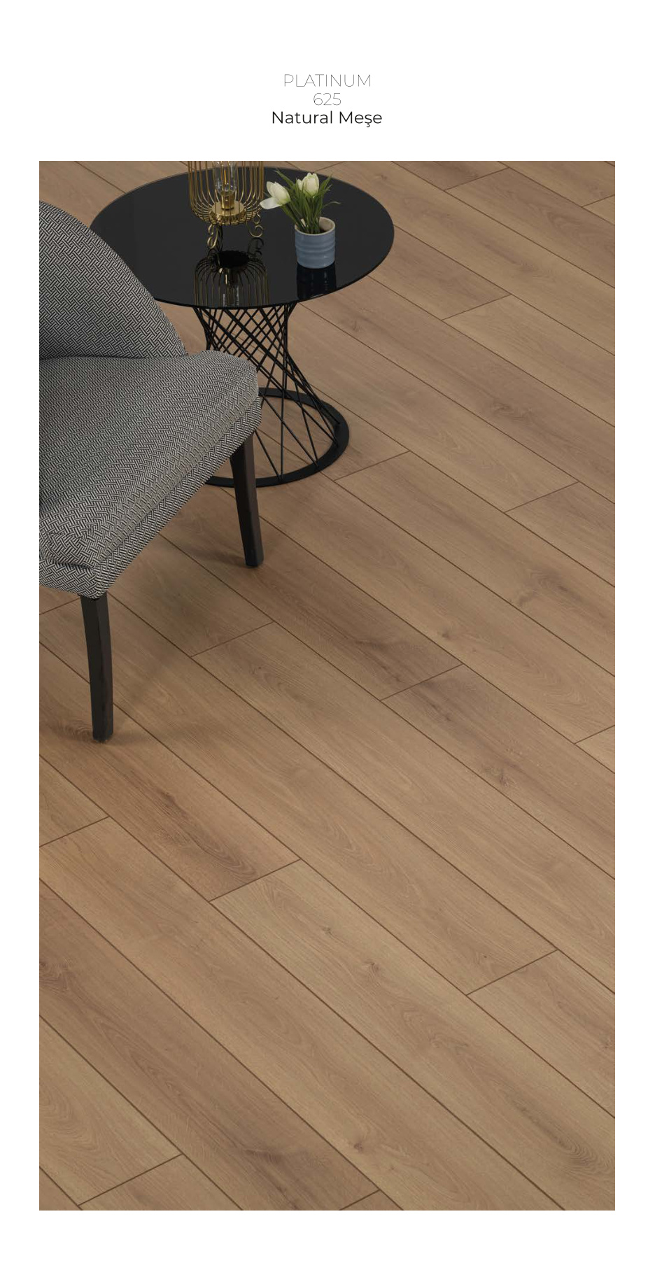 Çamsan Platinum katalog sayfa 5