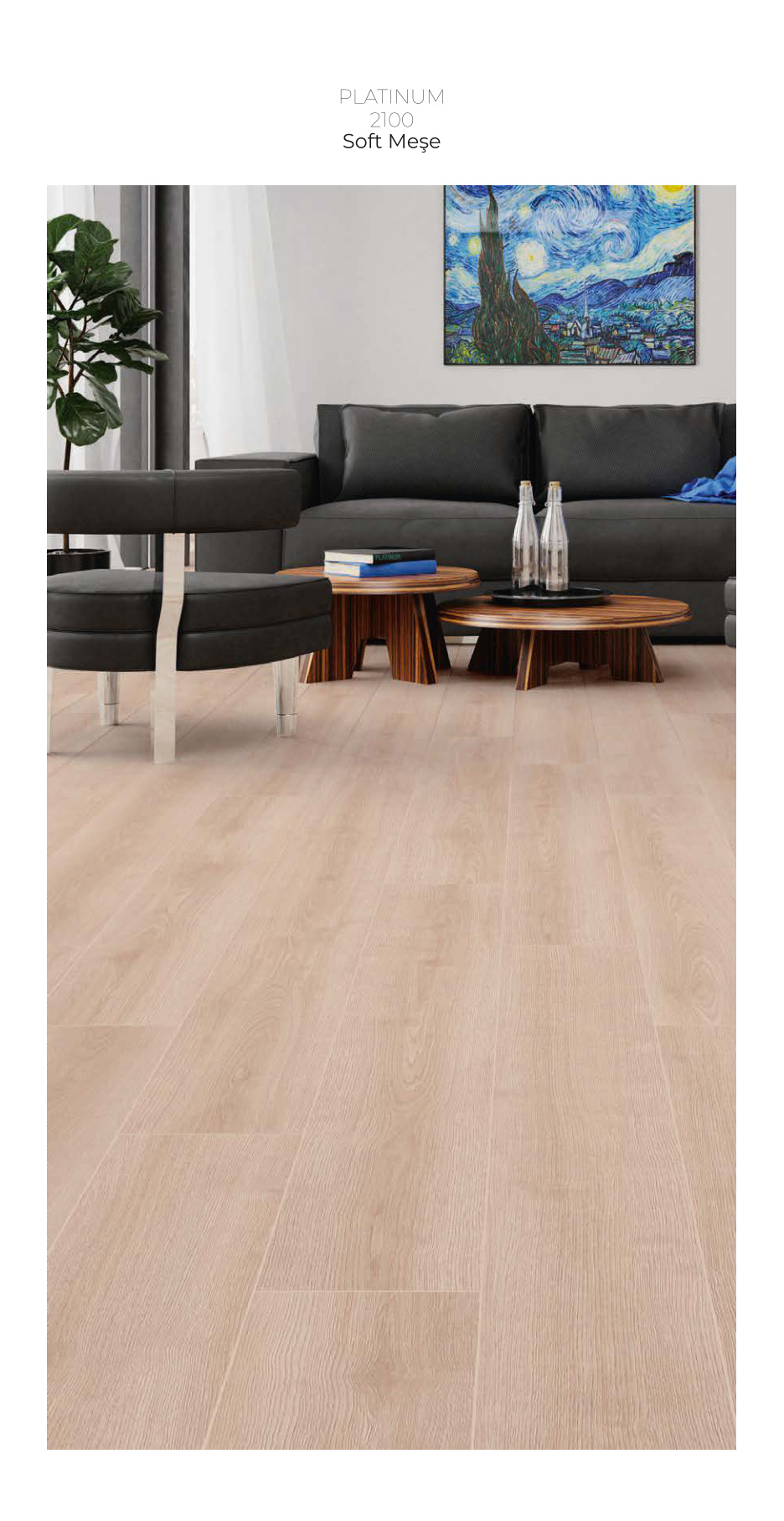 Çamsan Platinum katalog sayfa 6