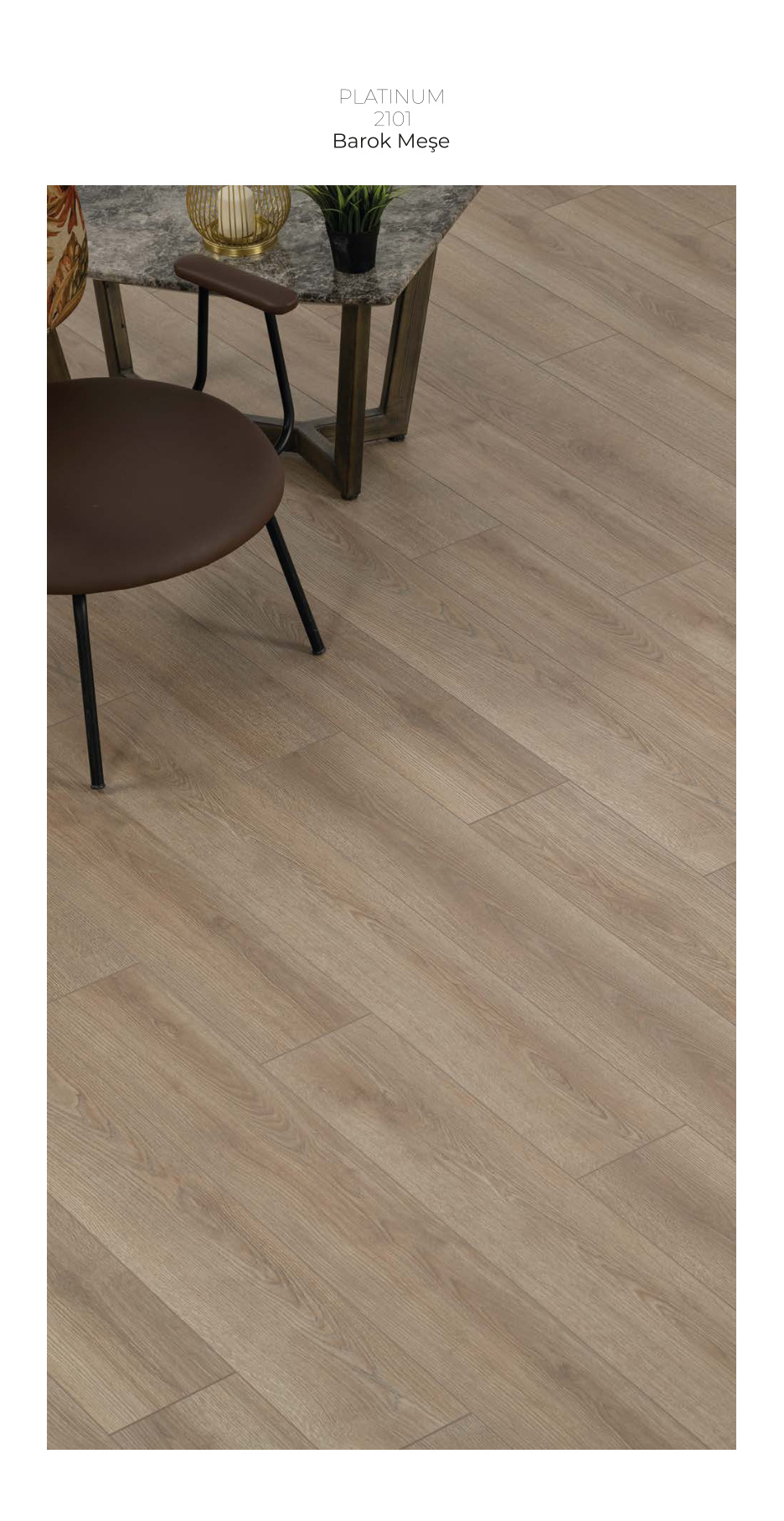 Çamsan Platinum katalog sayfa 7