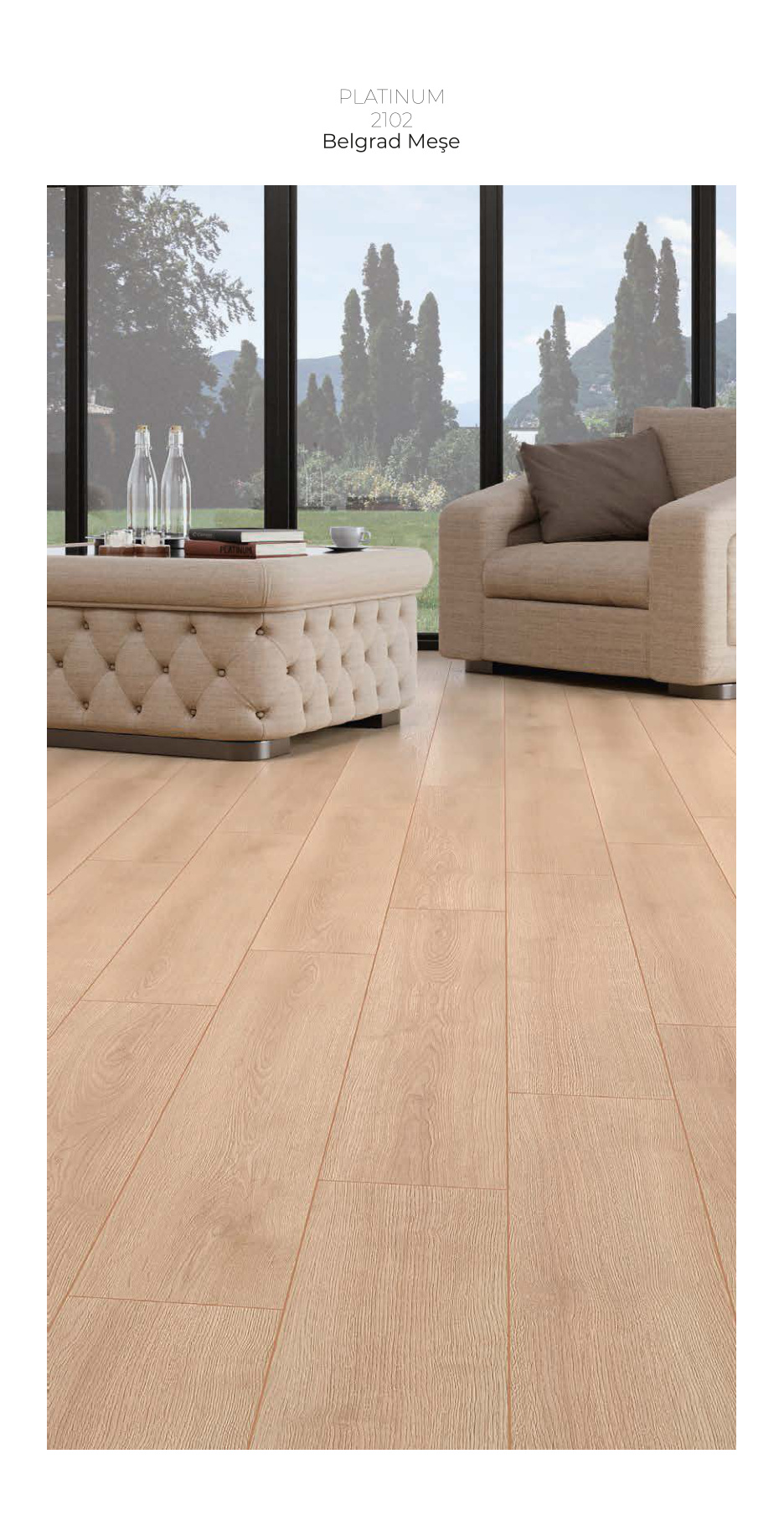 Çamsan Platinum katalog sayfa 8