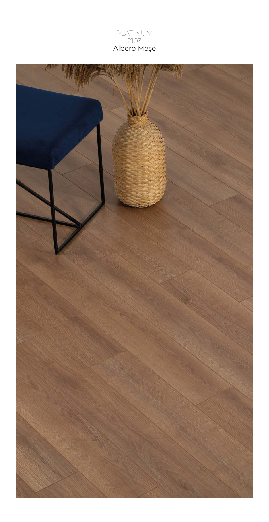 Çamsan Platinum katalog sayfa 9