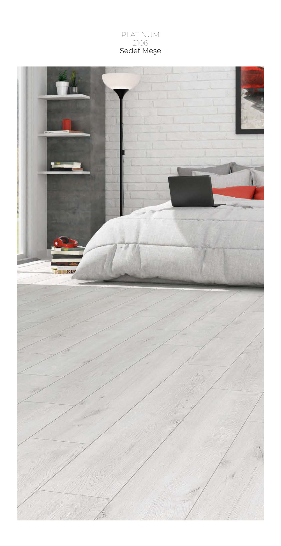 Çamsan Platinum katalog sayfa 12