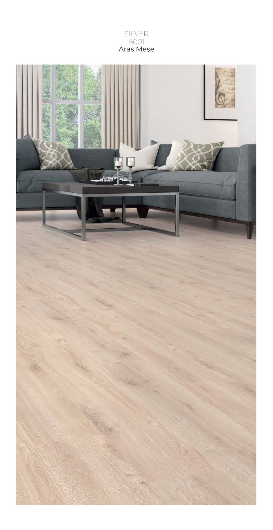 Çamsan Silver katalog sayfa 4