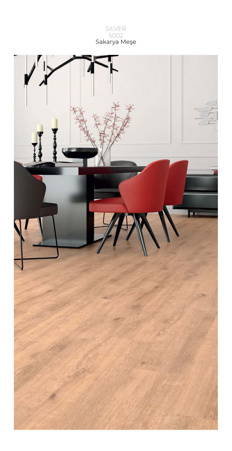 Çamsan Silver katalog sayfa 5