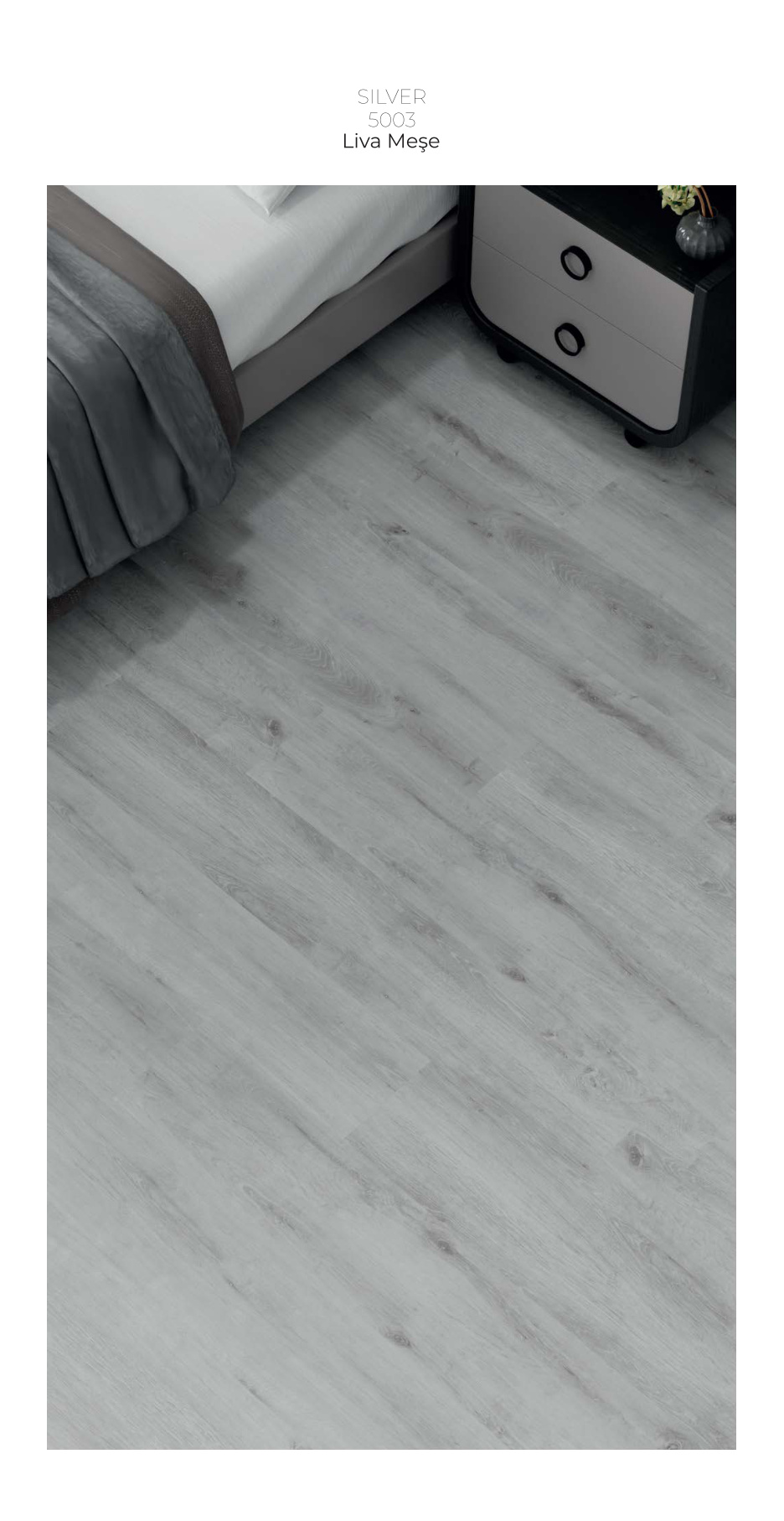 Çamsan Silver katalog sayfa 6