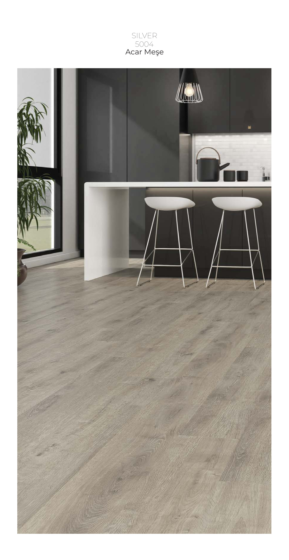 Çamsan Silver katalog sayfa 7