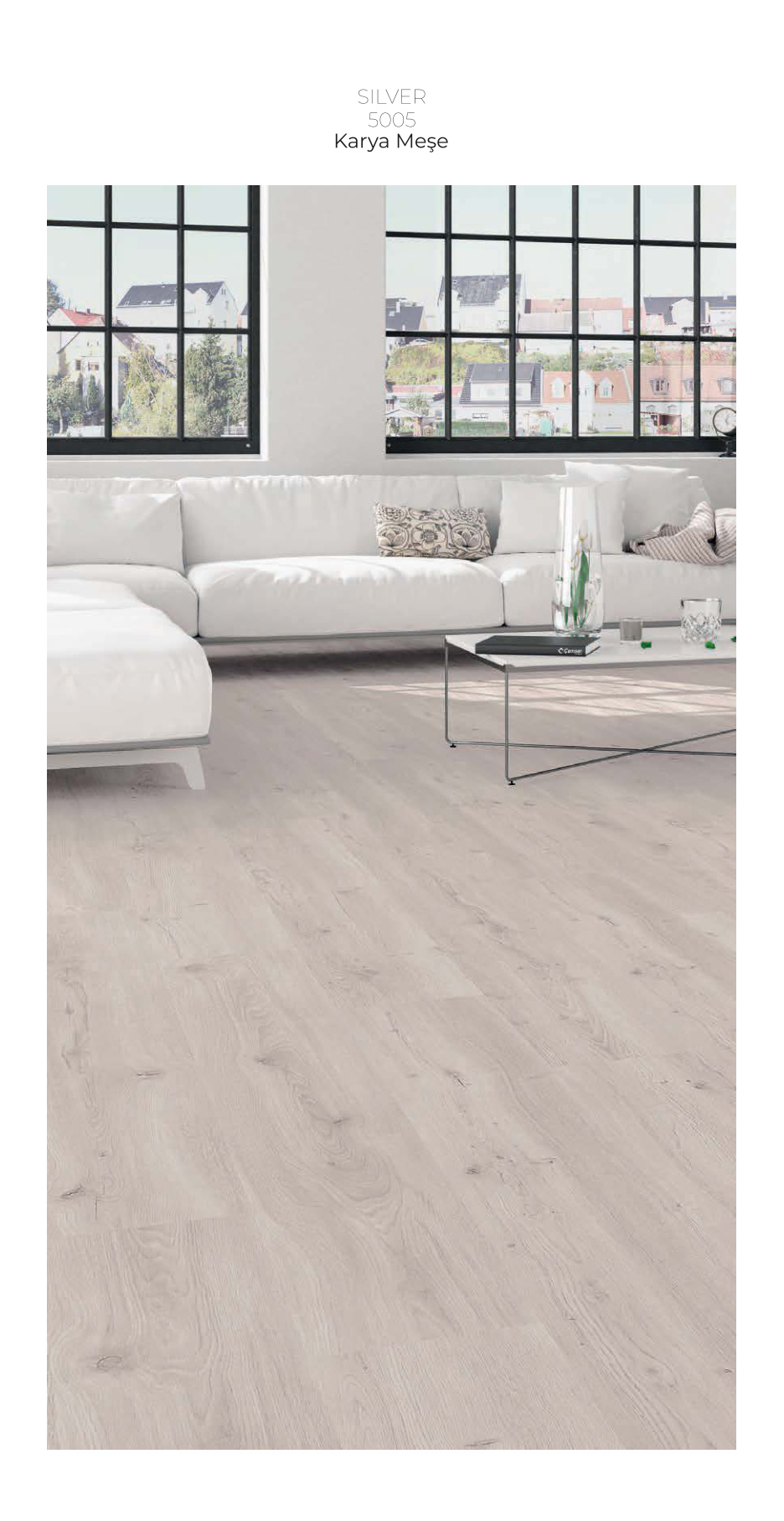 Çamsan Silver katalog sayfa 8