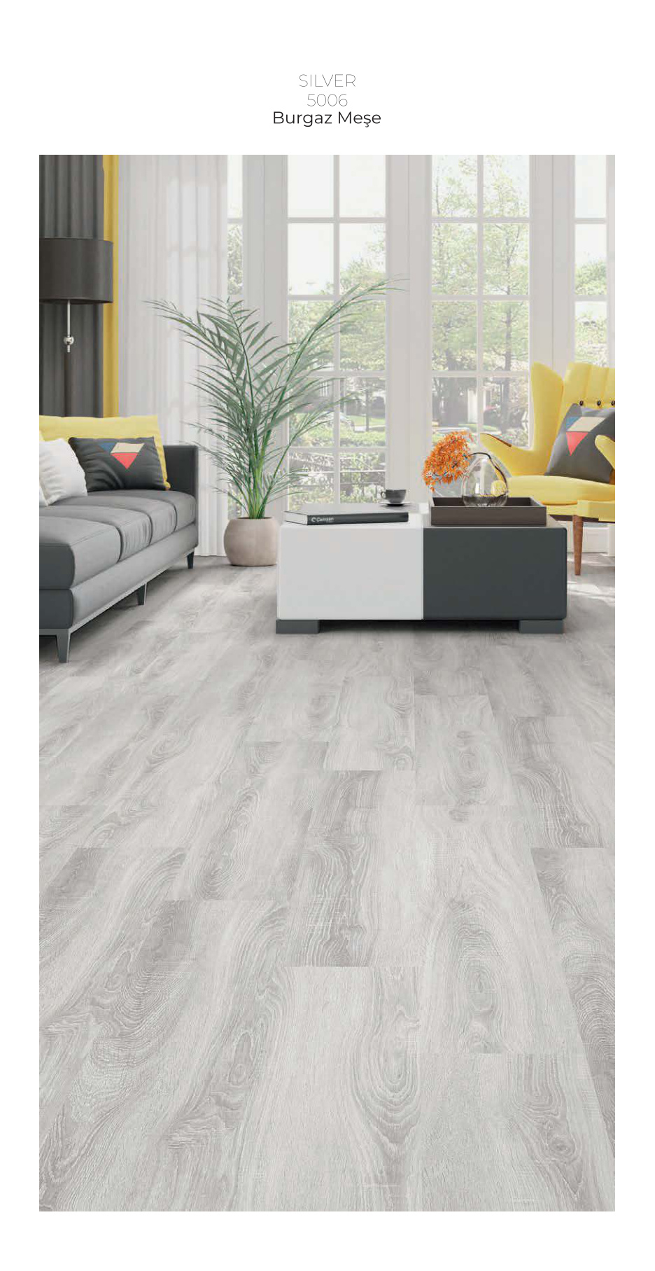 Çamsan Silver katalog sayfa 9