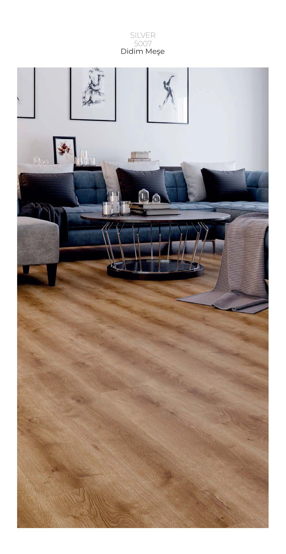 Çamsan Silver katalog sayfa 10