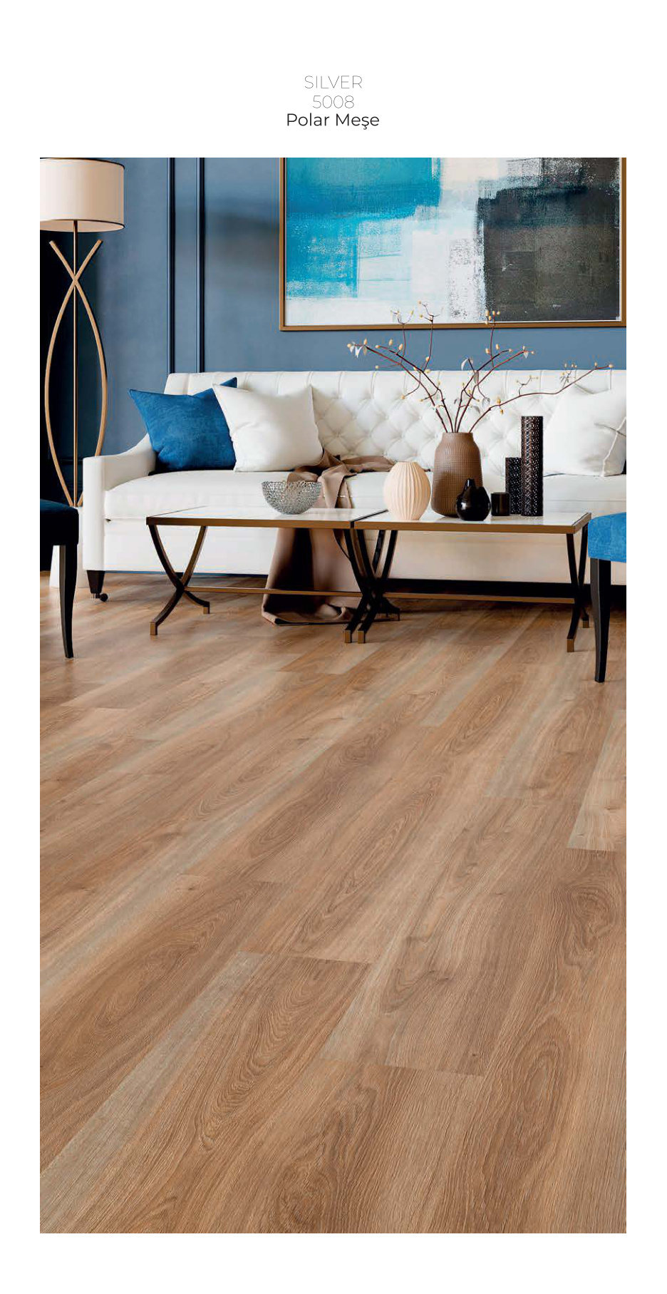 Çamsan Silver katalog sayfa 11