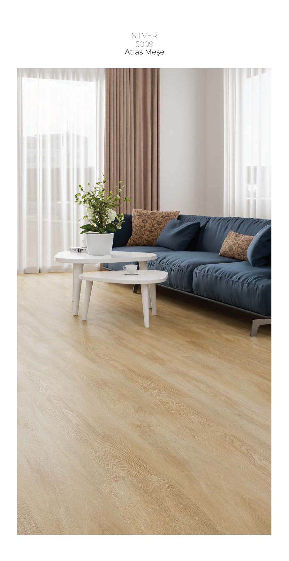 Çamsan Silver katalog sayfa 12