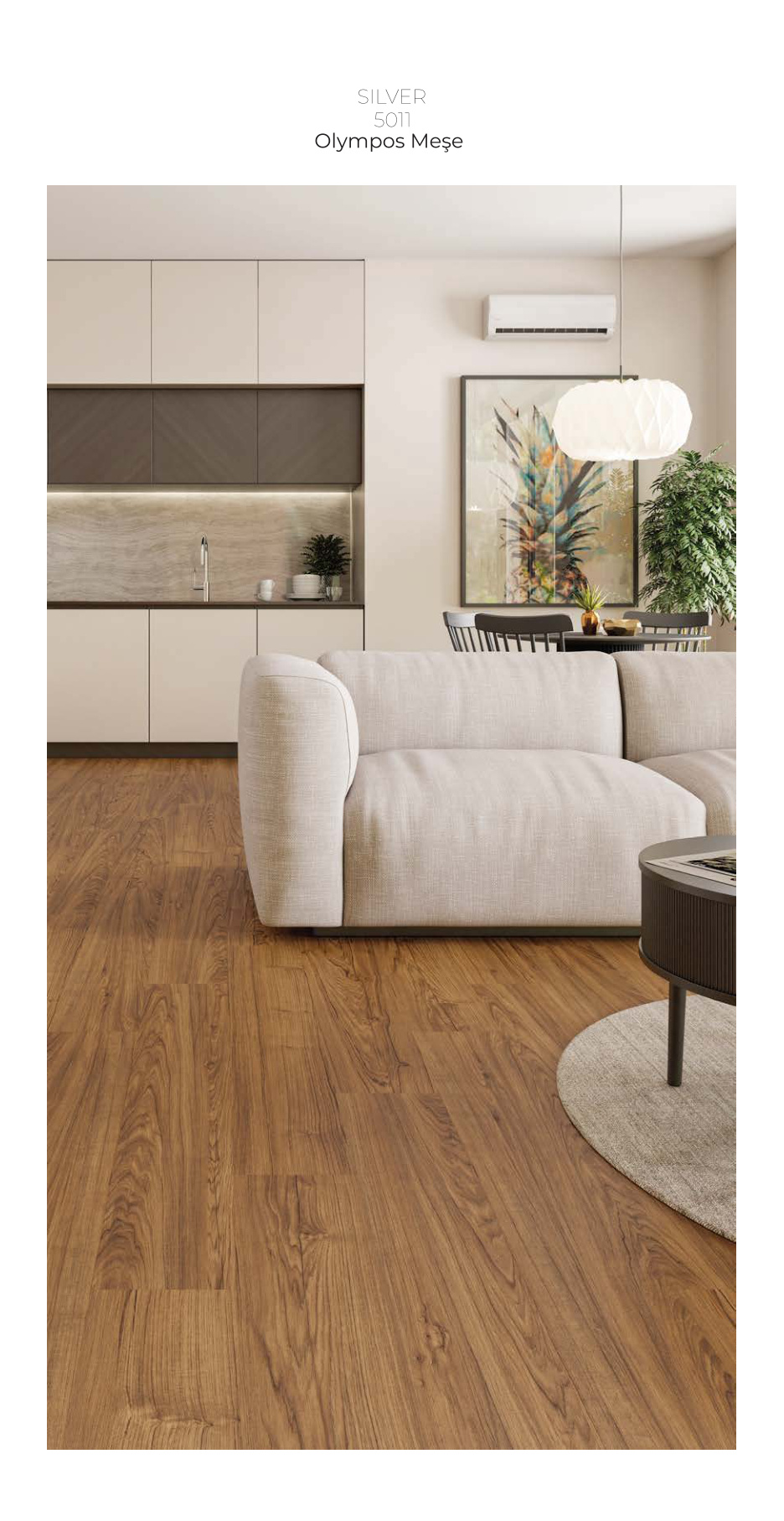 Çamsan Silver katalog sayfa 13