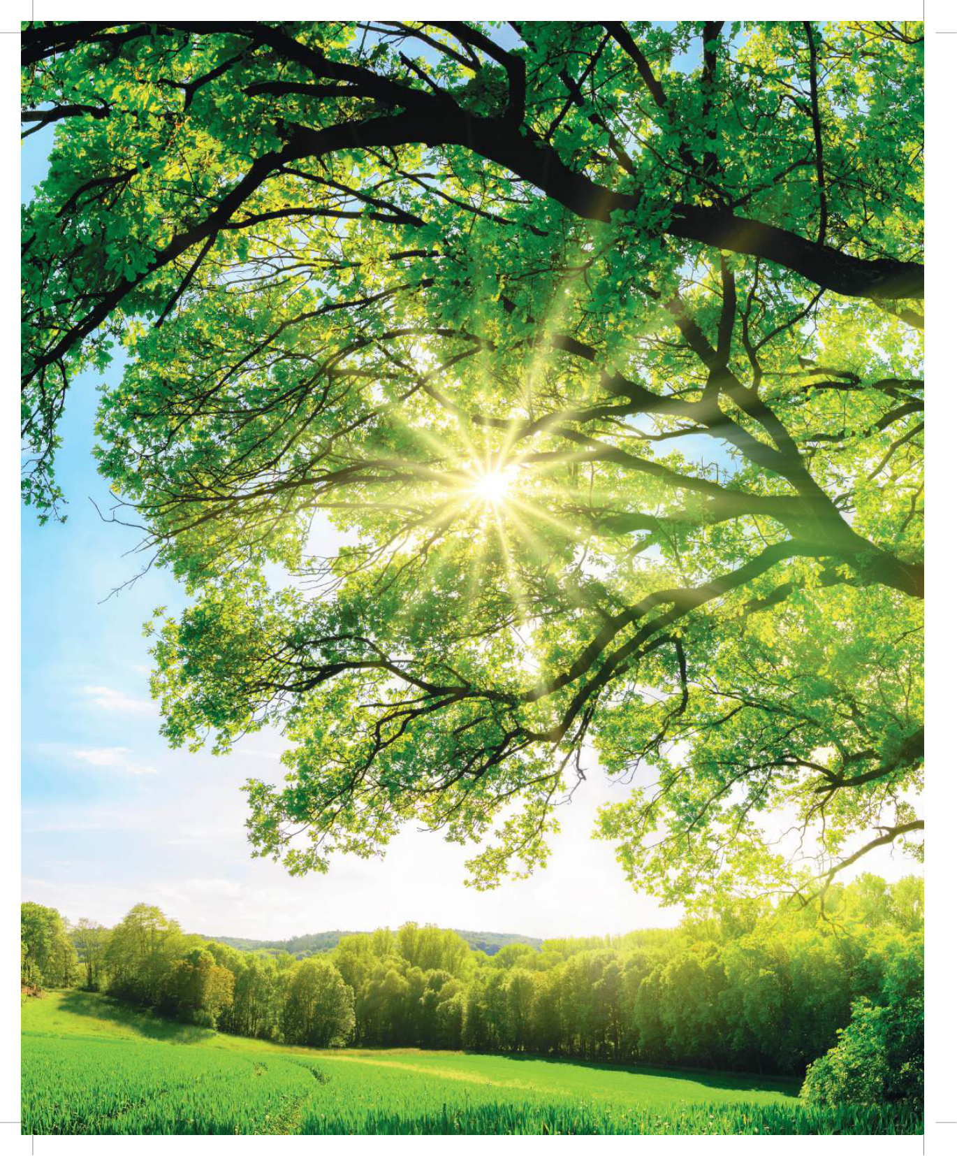 Floorpan Classic katalog sayfa 2