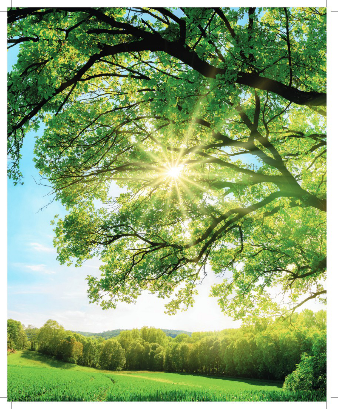 Floorpan Sun katalog sayfa 2