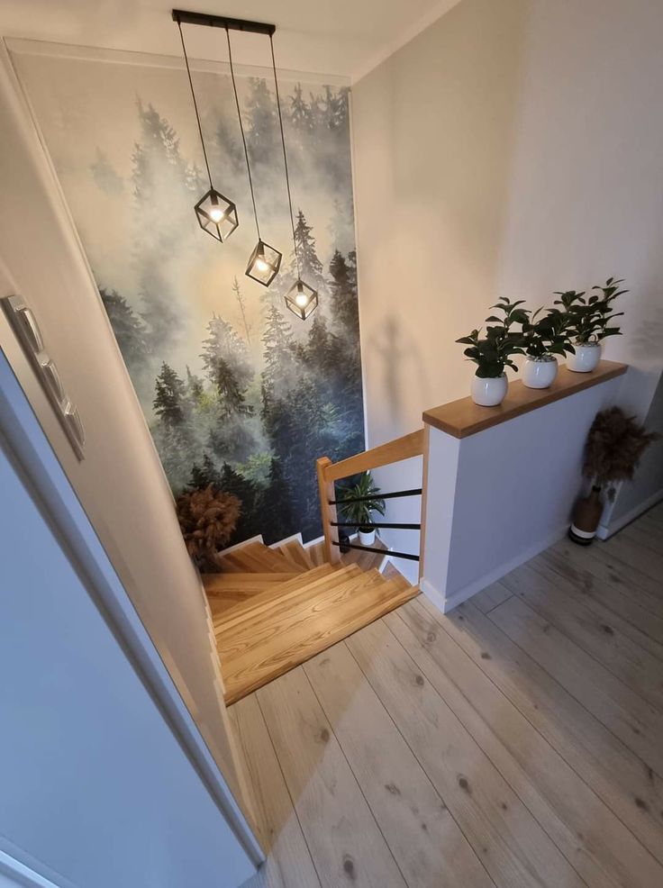 Parke Renk Seçimi Mekanı Nasıl Etkiler?